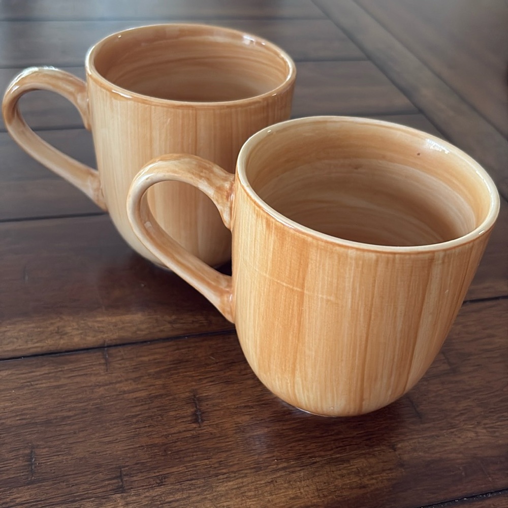 Citrus Grove Hand Painted Ceramic Coffee Mug Tea Cup Tan